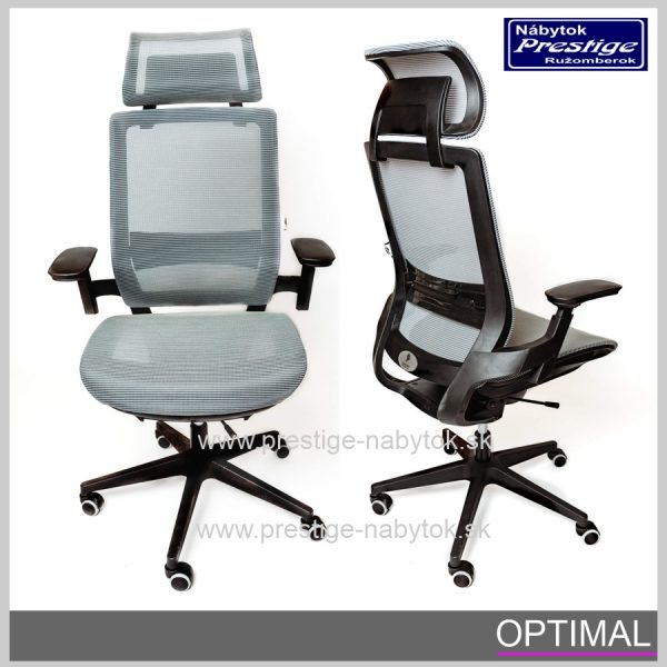 Spinergo stolička Optimal sivá 1