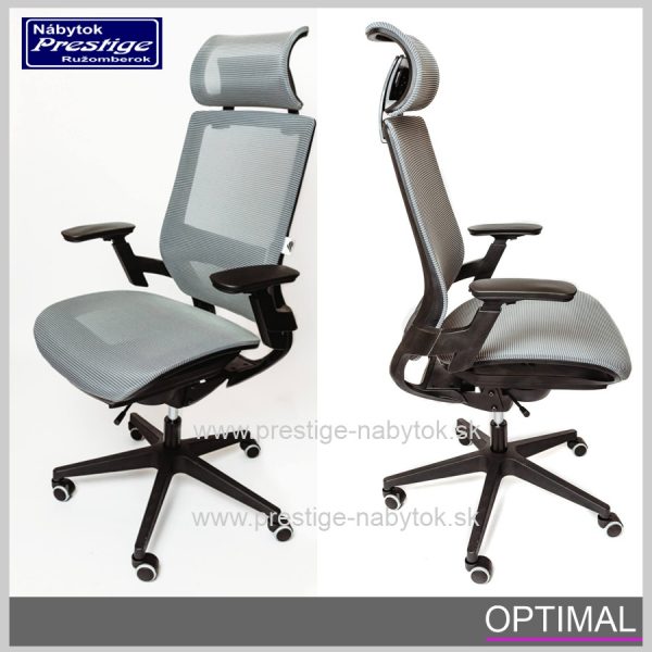Spinergo stolička Optimal sivá 2